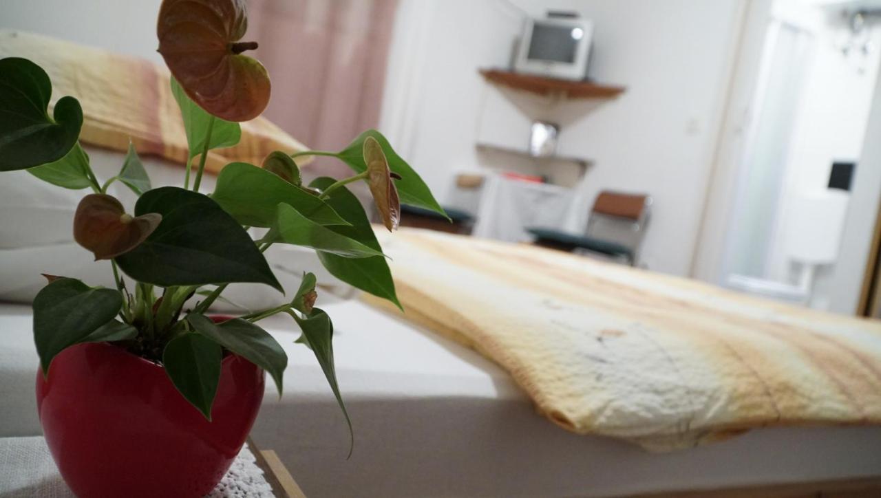 Apartments Nera ザグレブ エクステリア 写真